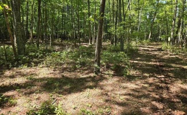 13630 Woodside Lane, Newport News, VA 23608
