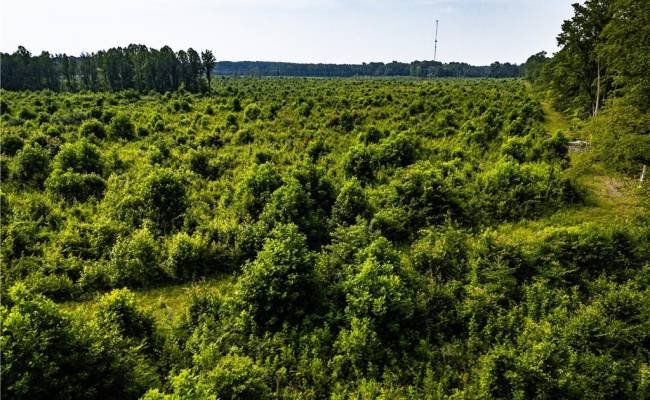112 Ac Mill Road, Emporia, VA 23847