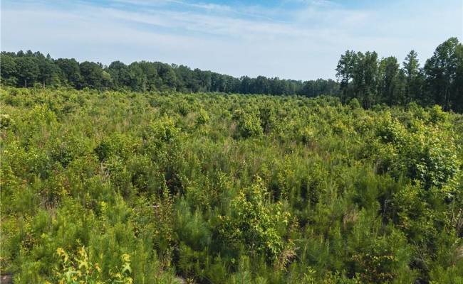 112 Ac Mill Road, Emporia, VA 23847
