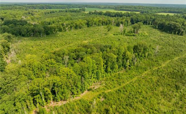 138+ac Dutton Road, Gloucester County, VA 23061
