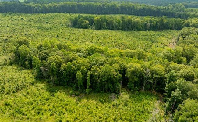 138+ac Dutton Road, Gloucester County, VA 23061