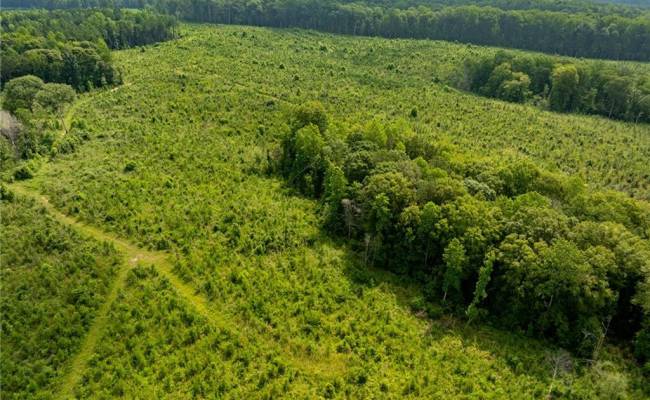 138+ac Dutton Road, Gloucester County, VA 23061