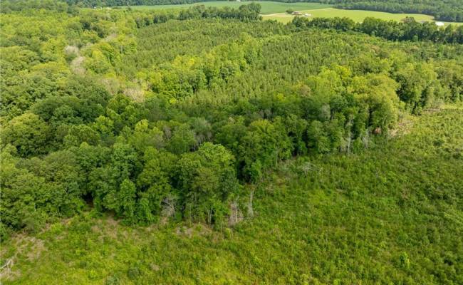 138+ac Dutton Road, Gloucester County, VA 23061
