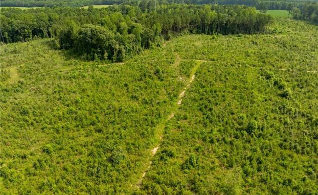 138+ac Dutton Road, Gloucester County, VA 23061