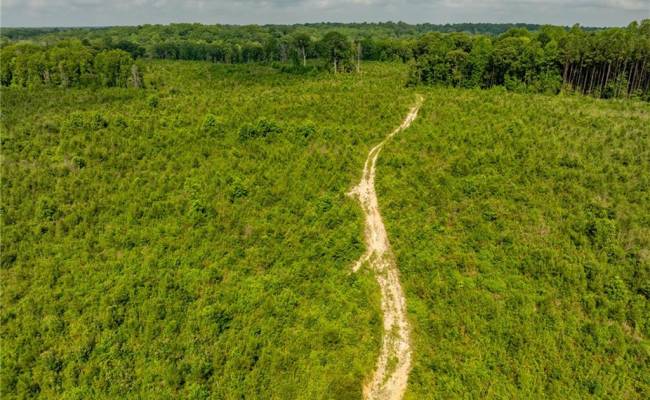 138+ac Dutton Road, Gloucester County, VA 23061