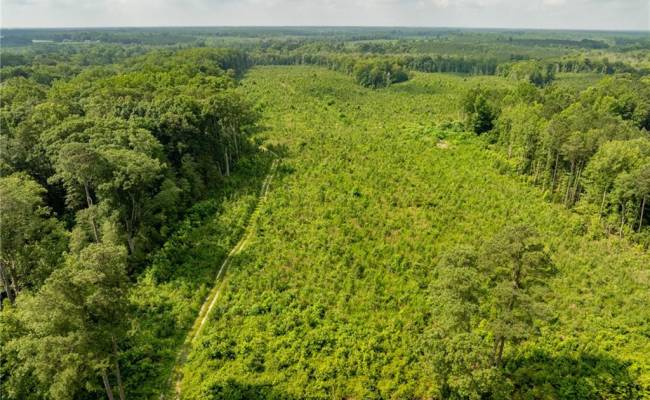 138+ac Dutton Road, Gloucester County, VA 23061