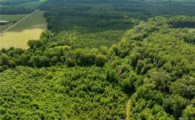 138+ac Dutton Road, Gloucester County, VA 23061