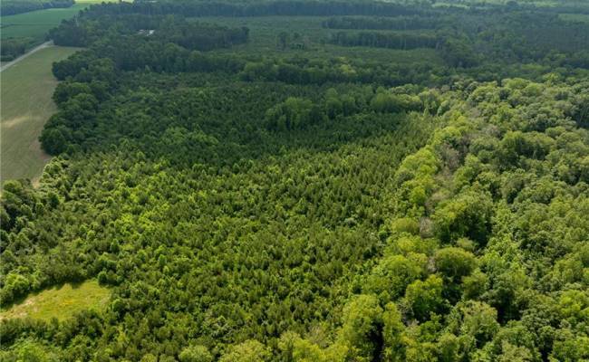 138+ac Dutton Road, Gloucester County, VA 23061