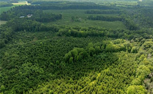 138+ac Dutton Road, Gloucester County, VA 23061