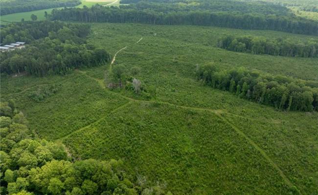 138+ac Dutton Road, Gloucester County, VA 23061
