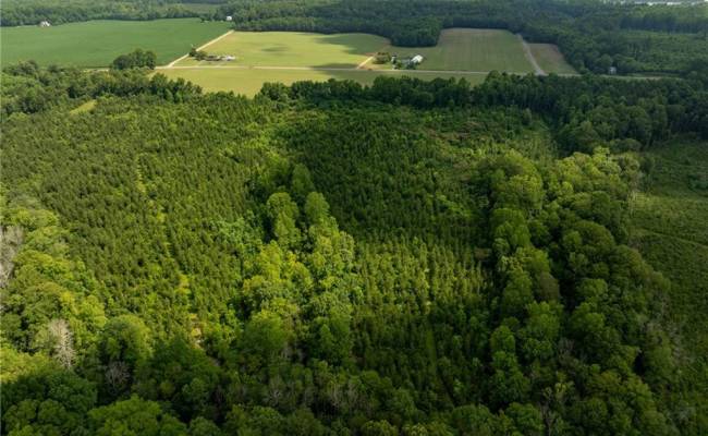 138+ac Dutton Road, Gloucester County, VA 23061