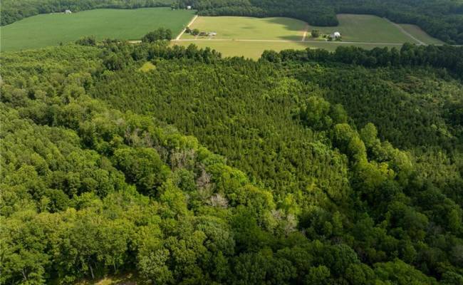 138+ac Dutton Road, Gloucester County, VA 23061