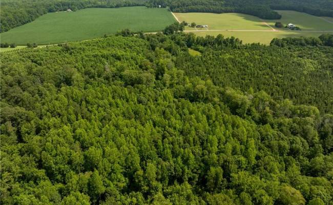 138+ac Dutton Road, Gloucester County, VA 23061