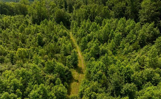 138+ac Dutton Road, Gloucester County, VA 23061