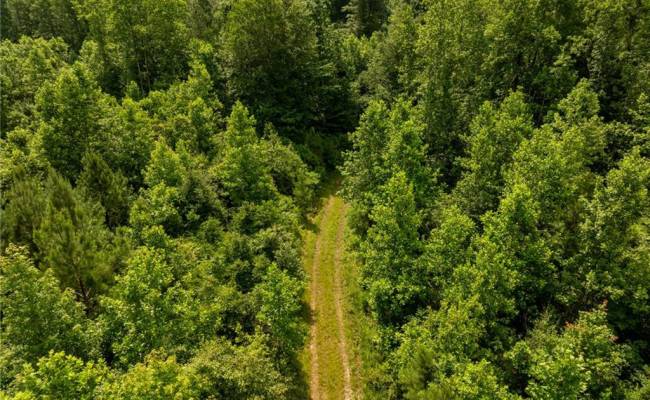 138+ac Dutton Road, Gloucester County, VA 23061