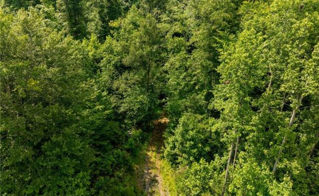 138+ac Dutton Road, Gloucester County, VA 23061