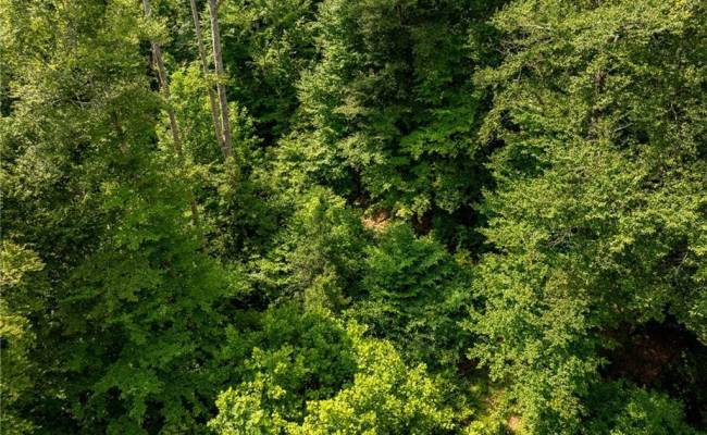 138+ac Dutton Road, Gloucester County, VA 23061