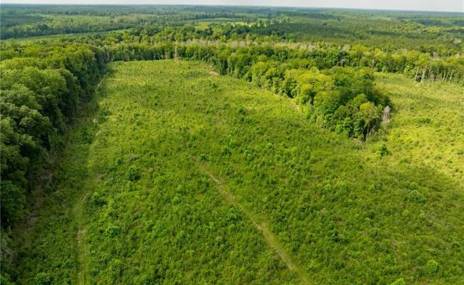 138+ac Dutton Road, Gloucester County, VA 23061