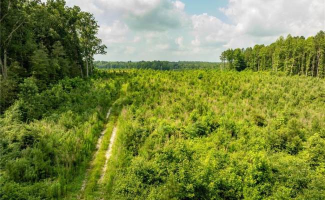 138+ac Dutton Road, Gloucester County, VA 23061