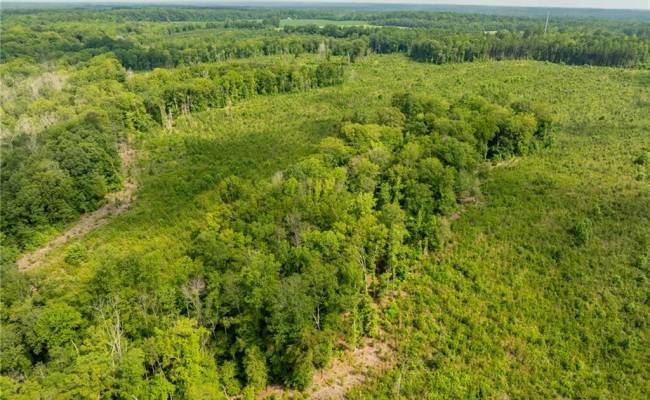 138+ac Dutton Road, Gloucester County, VA 23061