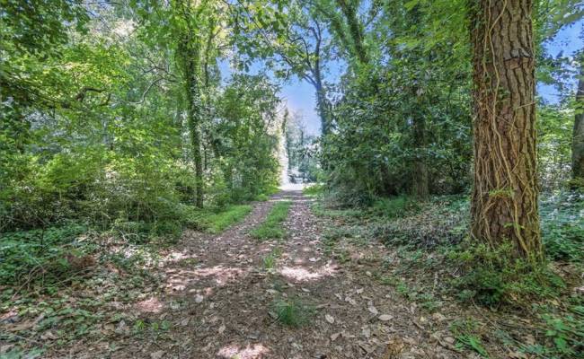 3720 Lynnfield Drive, Virginia Beach, VA 23452