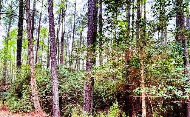 .26 AC Meadowview Lane, Lancaster County, VA 22503