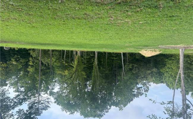 1.1+AC Minnesota Avenue, Surry County, VA 23899