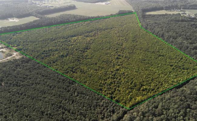 Lot 14 Taft Road, Chesapeake, VA 23322