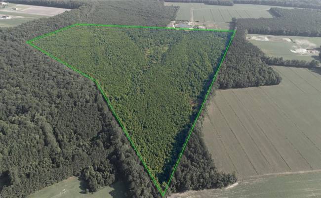 Lot 14 Taft Road, Chesapeake, VA 23322