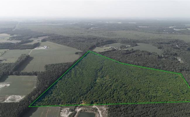 Lot 14 Taft Road, Chesapeake, VA 23322