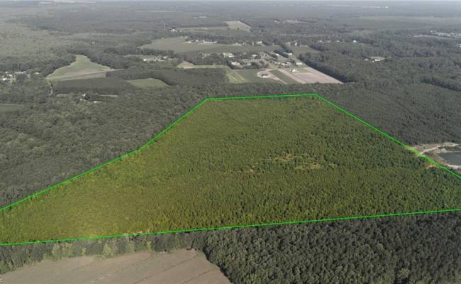 Lot 14 Taft Road, Chesapeake, VA 23322