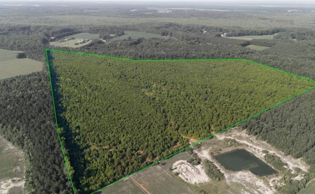 Lot 14 Taft Road, Chesapeake, VA 23322