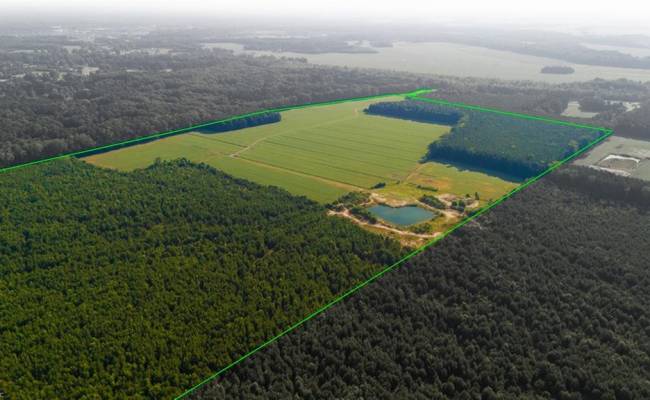 168 AC St Brides Road, Chesapeake, VA 23322