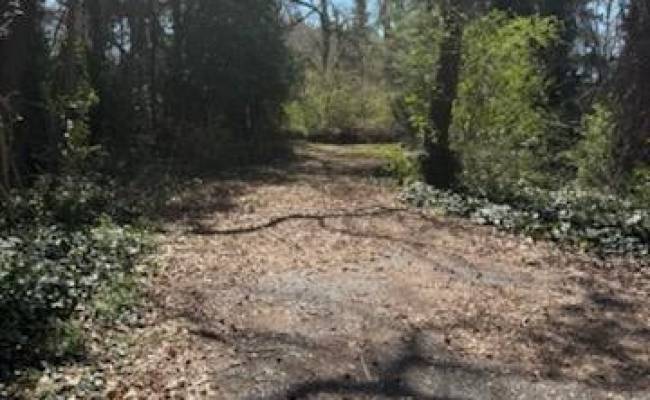 LOT 17 Wesley Road, Chesapeake, VA 23323