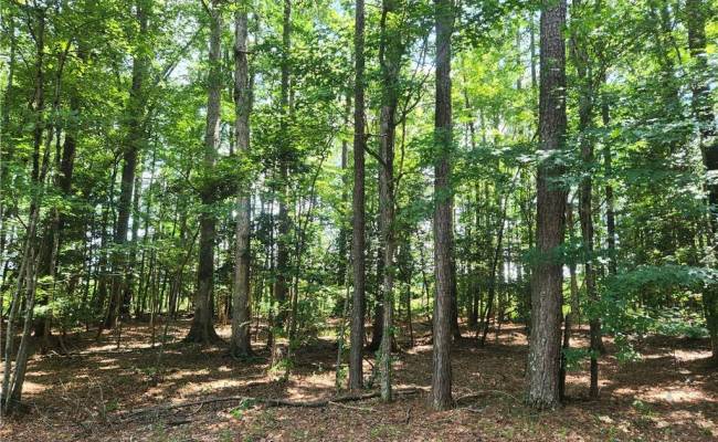 Lot 18 Pinecrest Drive, Southampton County, VA 23827
