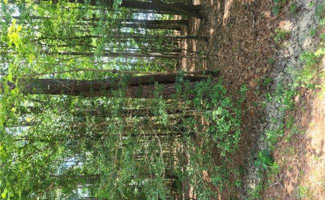 Lot 18 Pinecrest Drive, Southampton County, VA 23827
