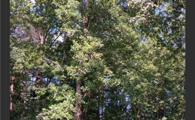 445 Davenport Road, Cumberland County, VA 23040