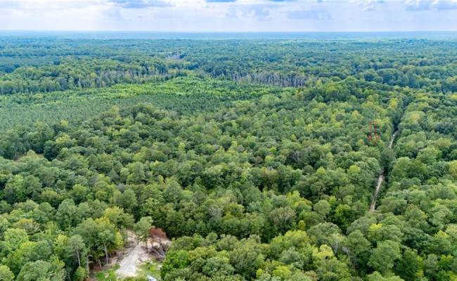 10+ac Beech Creek  (10.88ac) Road, Gloucester County, VA 23061