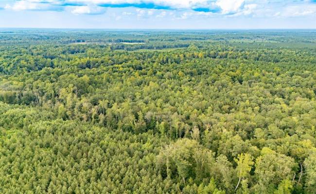 10+ac Beech Creek  (10.88ac) Road, Gloucester County, VA 23061