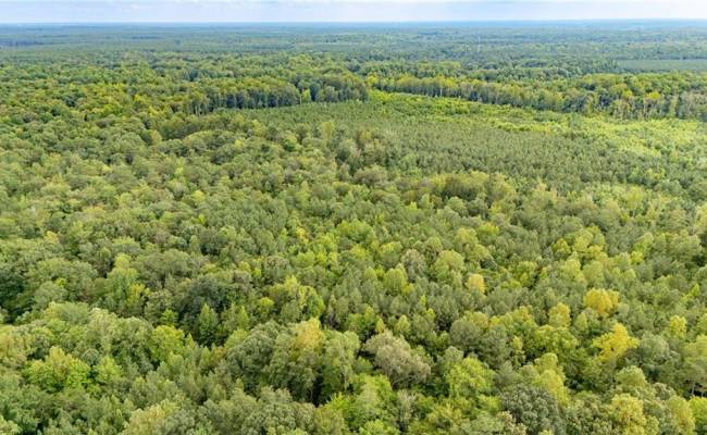 10+ac Beech Creek  (10.88ac) Road, Gloucester County, VA 23061