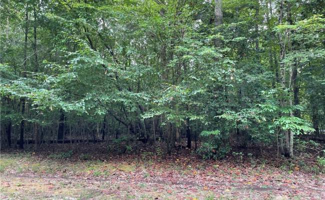 10+ac Beech Creek  (10.88ac) Road, Gloucester County, VA 23061