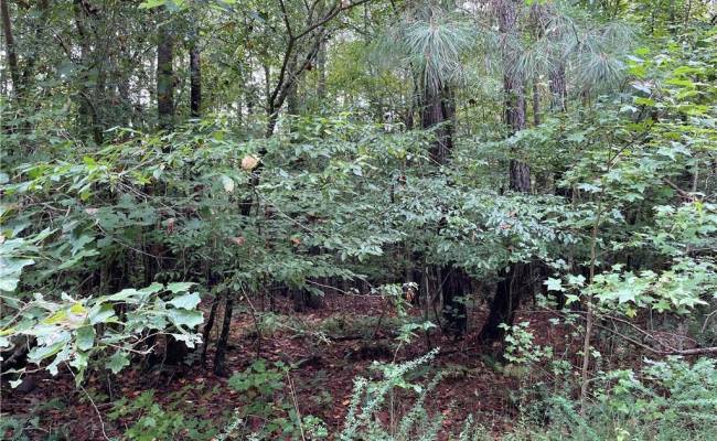 10+ac Beech Creek  (10.88ac) Road, Gloucester County, VA 23061