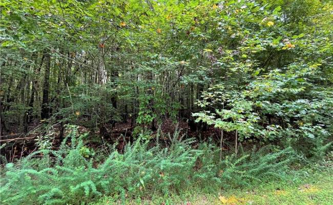 10+ac Beech Creek  (10.88ac) Road, Gloucester County, VA 23061