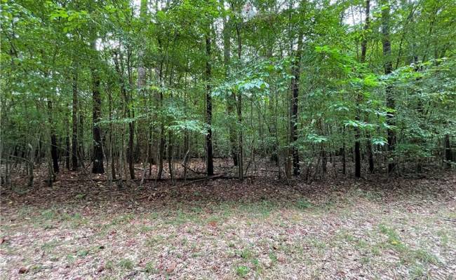 10+ac Beech Creek  (10.88ac) Road, Gloucester County, VA 23061