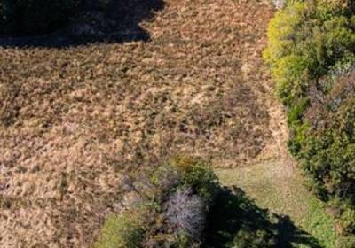 42-14 Chippokes Farm Road, Surry County, VA 23883