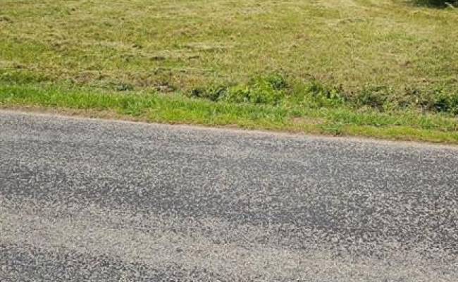 42-14 Chippokes Farm Road, Surry County, VA 23883