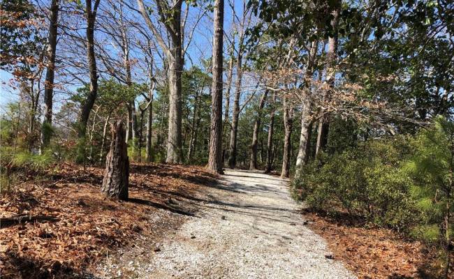 313 Tindall's Court, Suffolk, VA 23436