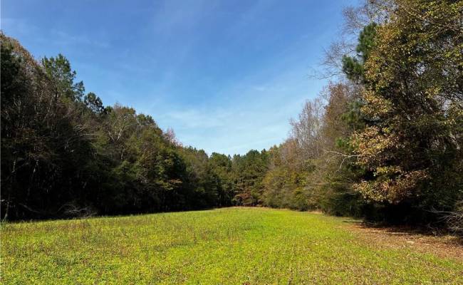 100+AC Purdy Road, Emporia, VA 23847