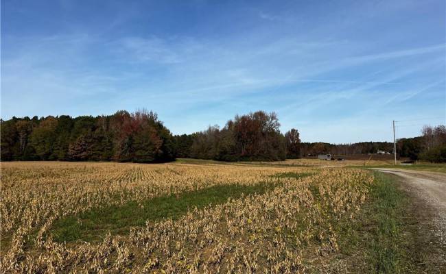 100+AC Purdy Road, Emporia, VA 23847