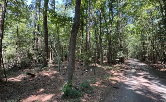 .51+AC Old Ferry Road, Mathews County, VA 23076